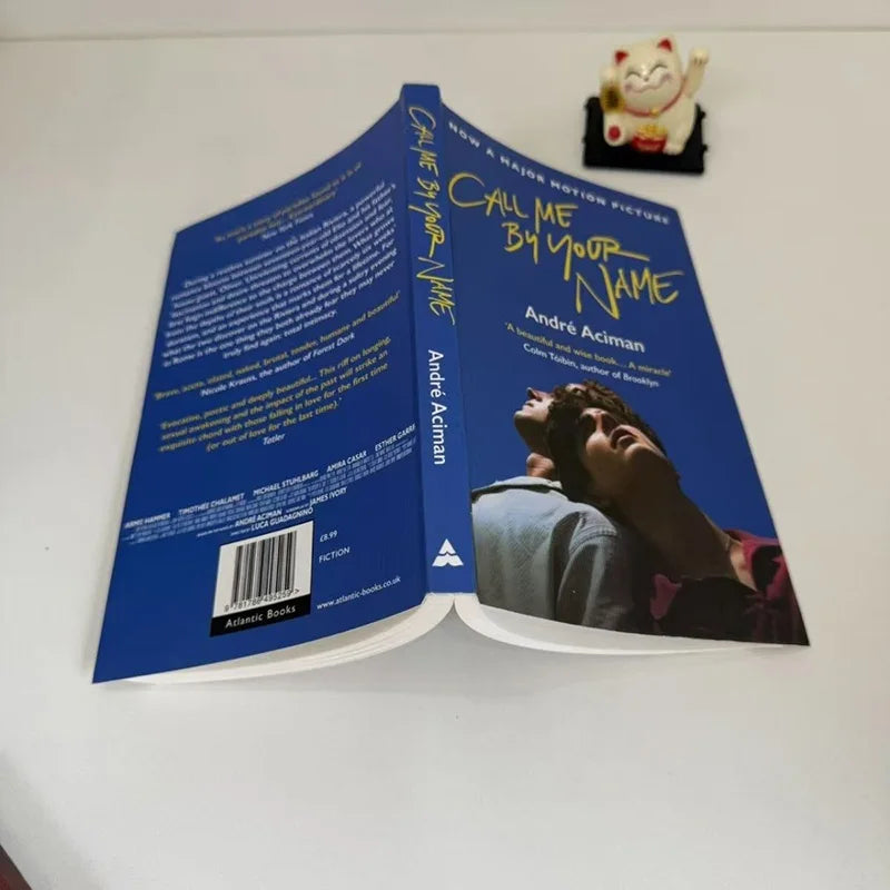 Books English Version Please Call Me By Your Name English Books Movie Book of The Same Name English Book