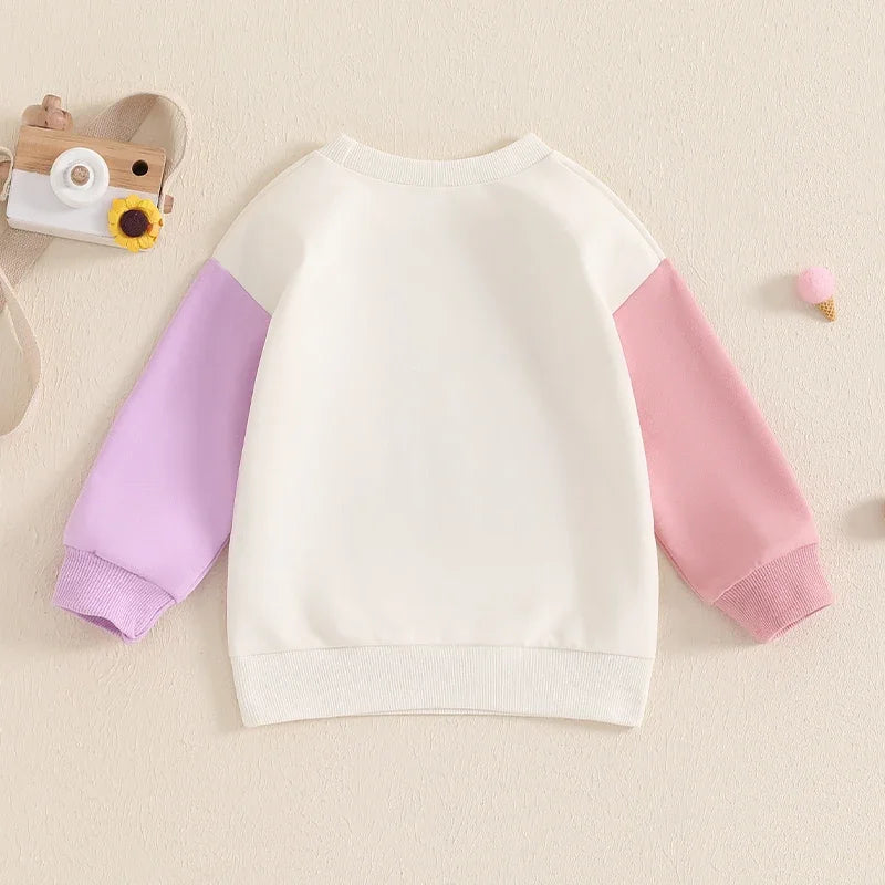 Kids Ansoff sweatshirt with long sleeves, crew neck, embroidery letters, suitable for spring and autumn, boys and girls.