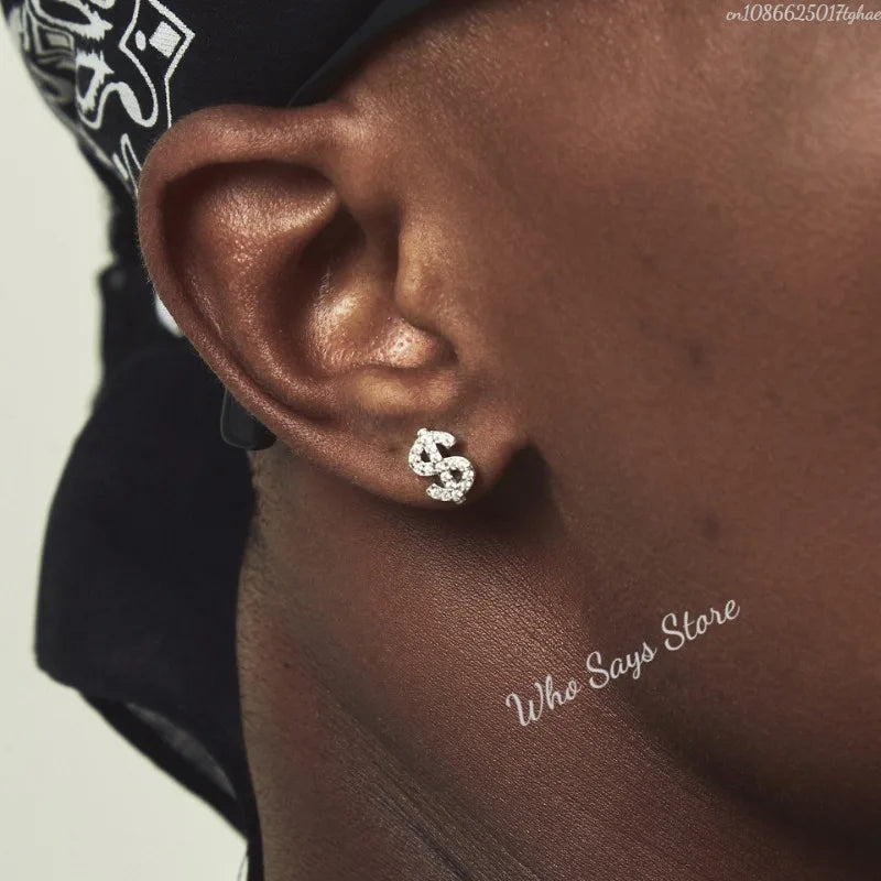 Stainless Steel Earrings Hip Hop Jewelry Stud Earring Iced Out Zircon Dollar Sign Gold Plated Earrings for Women Серьги Женские - Acros
