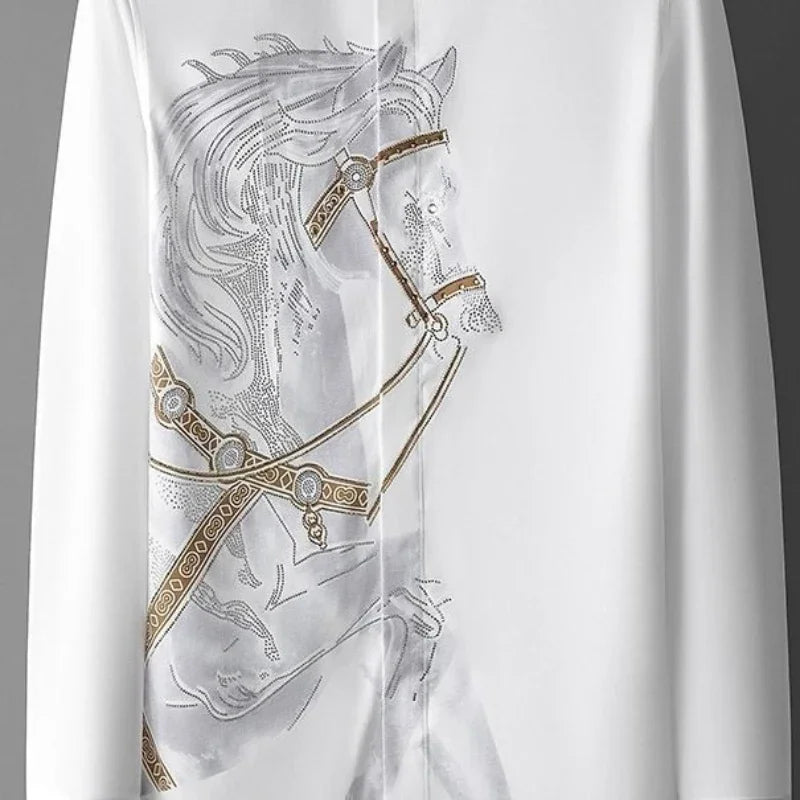 Men's long sleeve printed funny shirt by Ansoff, featuring a button-up design, stylish print, and high-quality fabric.