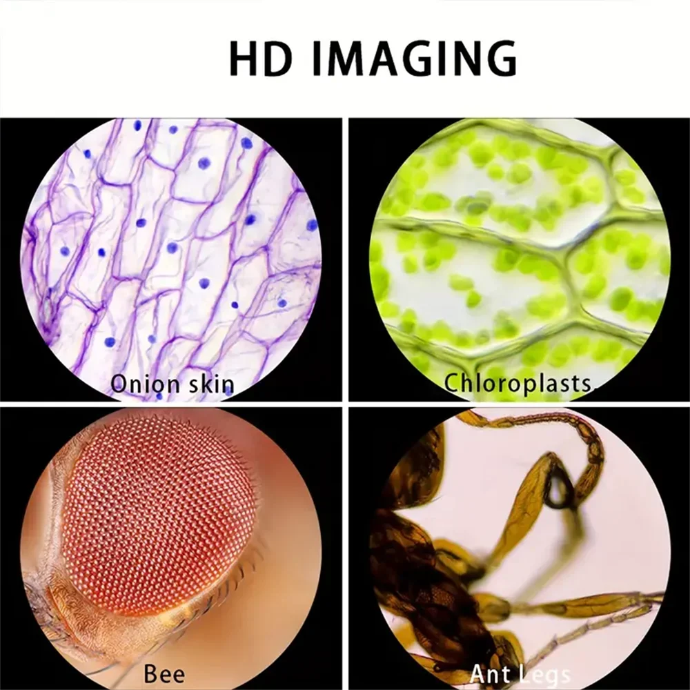Ansoff handheld microscope with 60-120x magnification, LED light, battery-powered, designed for kids' science experiments.