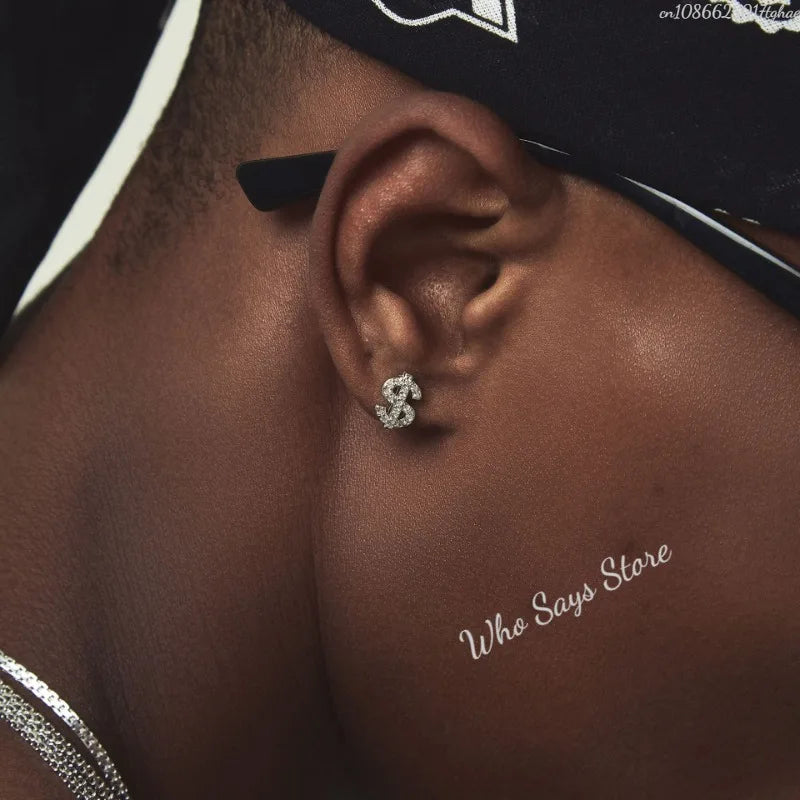 Stainless Steel Earrings Hip Hop Jewelry Stud Earring Iced Out Zircon Dollar Sign Gold Plated Earrings for Women Серьги Женские - Acros