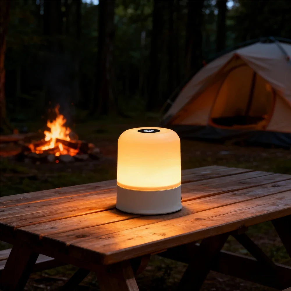 Ansoff LED night light with dimmable RGB desktop lamp, rechargeable and plug-in bedside light with touchscreen control and decorative design.