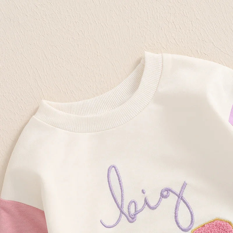 Kids Ansoff sweatshirt with long sleeves, crew neck, embroidery letters, suitable for spring and autumn wear for boys and girls.