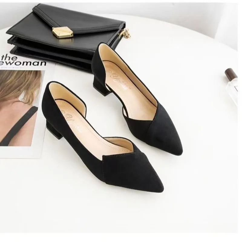 Ansoff women's pointed toe flat shoes with patchwork design, slip-on ballet flats, breathable and casual for daily wear.