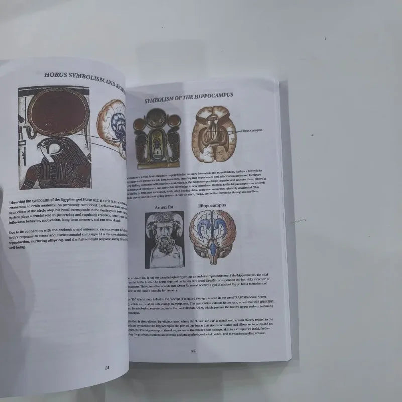 Book Of Wisdom With Colorful Pages Philosophical Life Guidance Notebook For Self Reflection And Meditation